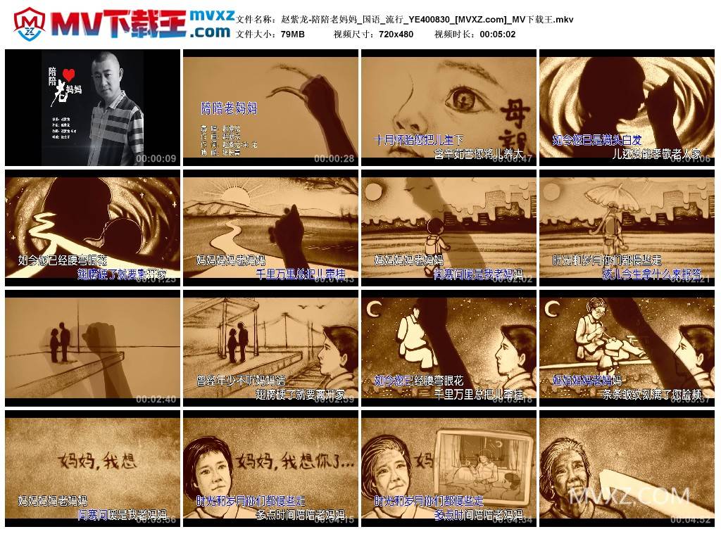 赵紫龙-陪陪老妈妈_国语_流行_YE400830